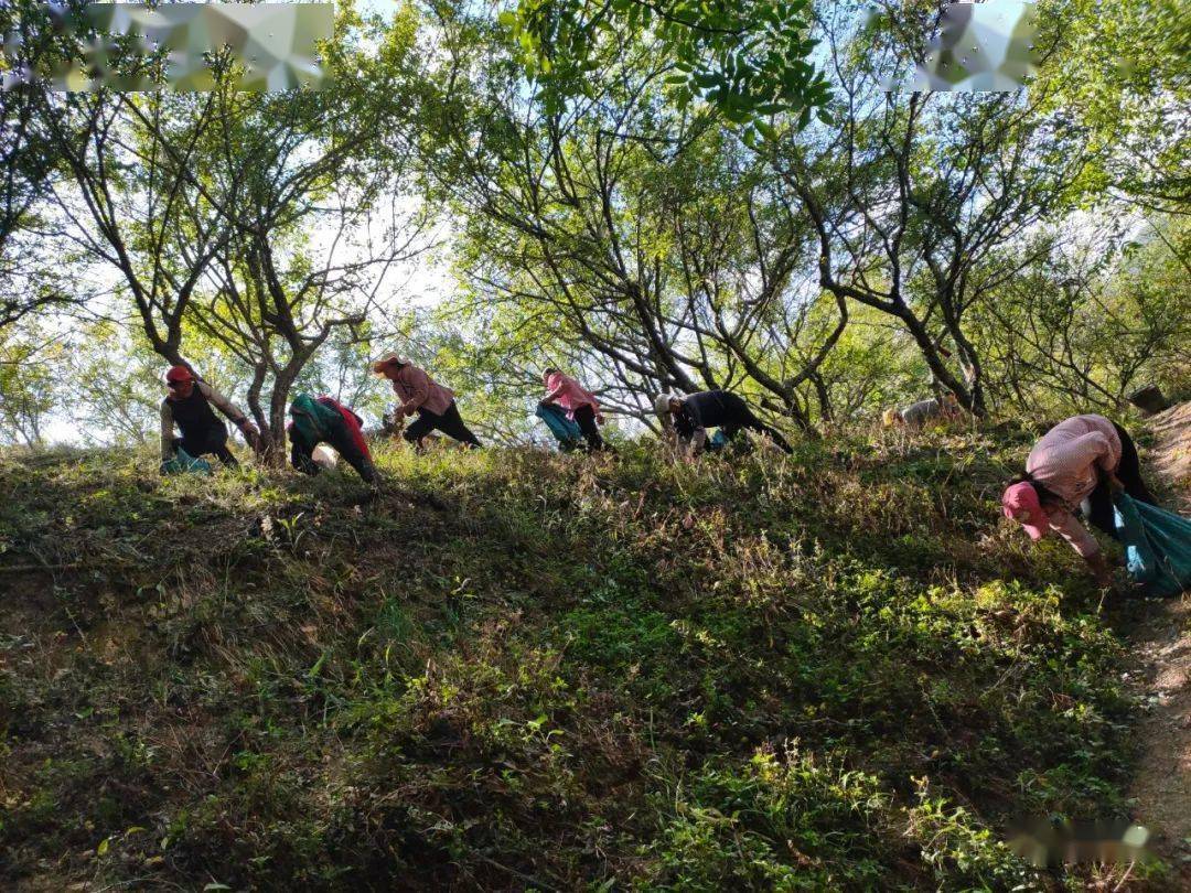 滚家城村委会最新天气预报